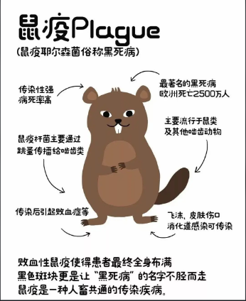“女子買(mǎi)了100多張粘鼠板，一只老鼠也沒(méi)...